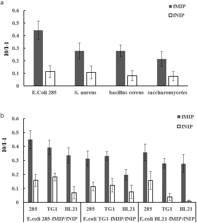 Fig.3  a) Fluorescence response of E. coli 258-imprinted sensor toward different microorganisms. b) Fluorescence response of different serotypes of E. coli sensors to different serotypes of E. coli (I0: fluorescence intensity before binding E. coli or other species of microorganisms; I: fluorescence intensity after binding E. coli or other species of microorganisms)
